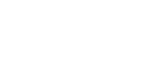 Logo 17